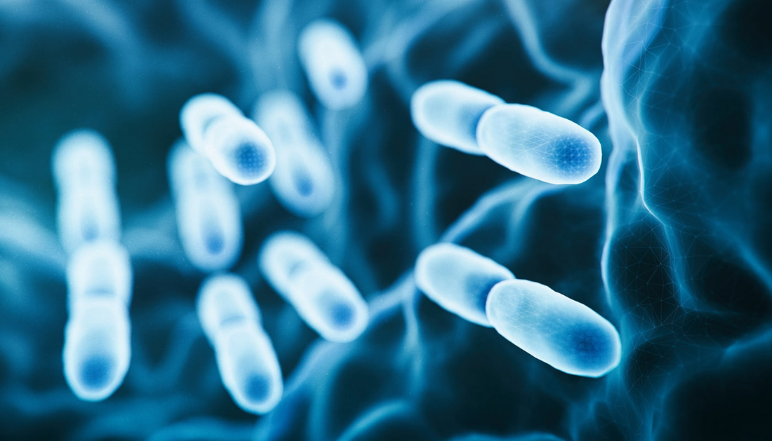 How to Properly Clean and Refill Your CPAP Water Chamber