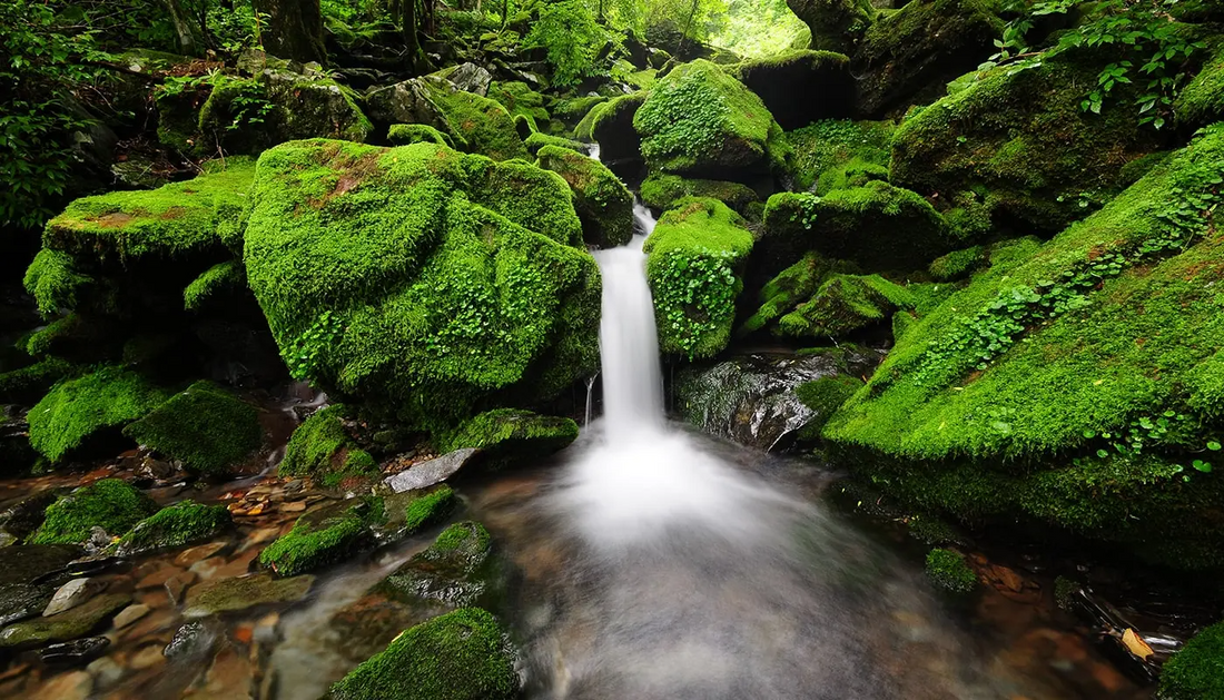 Is it Safe to Use Spring Water in a CPAP?