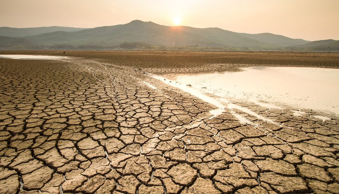 The Psychological Toll of Water Shortages