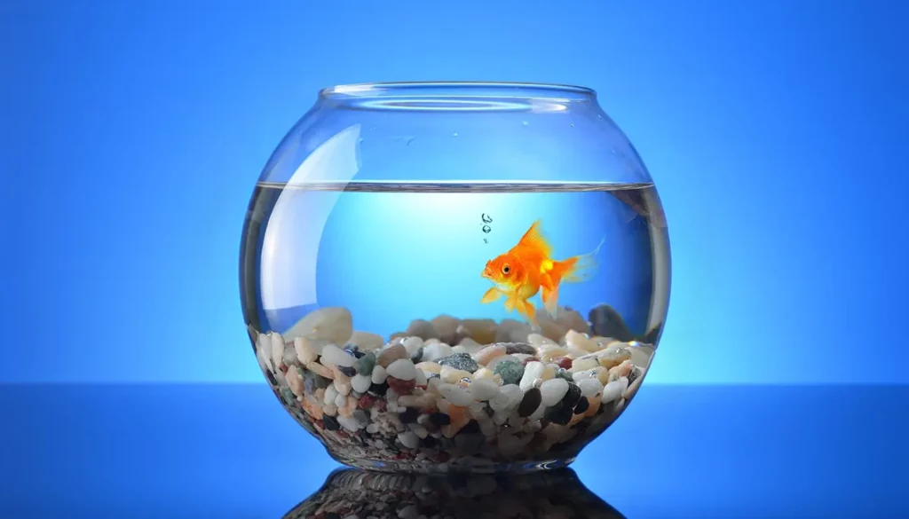 A fish bowl including distilled water for fish tanks on blue background.
